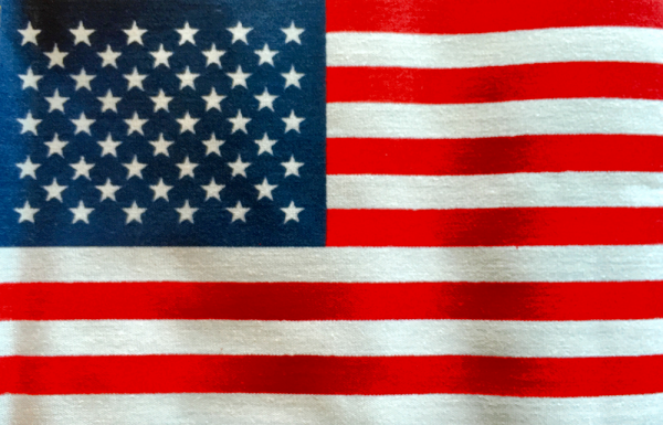 BUY A REAL ESTATE & MANAGEMENT COMPANY AND IMMIGRATE TO USA E-2 VISA